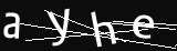 verifycode